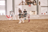 Petes Equine Photography of the draft horse hitch and mini horse competitions at the 2024 Ancaster Fair.