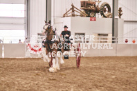 Petes Equine Photography of the draft horse hitch and mini horse competitions at the 2024 Ancaster Fair.