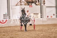 Petes Equine Photography of the draft horse hitch and mini horse competitions at the 2024 Ancaster Fair.