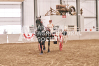 Petes Equine Photography of the draft horse hitch and mini horse competitions at the 2024 Ancaster Fair.