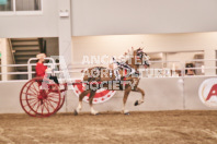 Petes Equine Photography of the draft horse hitch and mini horse competitions at the 2024 Ancaster Fair.