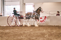 Petes Equine Photography of the draft horse hitch and mini horse competitions at the 2024 Ancaster Fair.