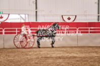 Petes Equine Photography of the draft horse hitch and mini horse competitions at the 2024 Ancaster Fair.