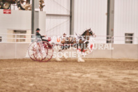 Petes Equine Photography of the draft horse hitch and mini horse competitions at the 2024 Ancaster Fair.