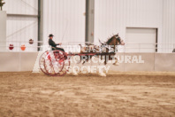 Petes Equine Photography of the draft horse hitch and mini horse competitions at the 2024 Ancaster Fair.