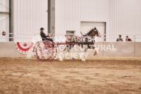 Petes Equine Photography of the draft horse hitch and mini horse competitions at the 2024 Ancaster Fair.