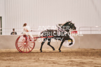 Petes Equine Photography of the draft horse hitch and mini horse competitions at the 2024 Ancaster Fair.