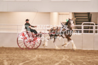 Petes Equine Photography of the draft horse hitch and mini horse competitions at the 2024 Ancaster Fair.