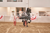 Petes Equine Photography of the draft horse hitch and mini horse competitions at the 2024 Ancaster Fair.