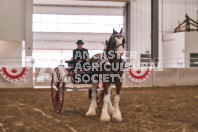 Petes Equine Photography of the draft horse hitch and mini horse competitions at the 2024 Ancaster Fair.