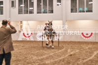 Petes Equine Photography of the draft horse hitch and mini horse competitions at the 2024 Ancaster Fair.