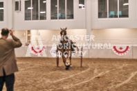 Petes Equine Photography of the draft horse hitch and mini horse competitions at the 2024 Ancaster Fair.