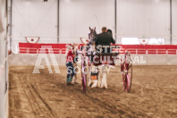 Petes Equine Photography of the draft horse hitch and mini horse competitions at the 2024 Ancaster Fair.