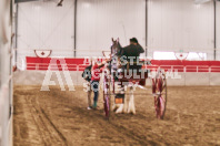 Petes Equine Photography of the draft horse hitch and mini horse competitions at the 2024 Ancaster Fair.