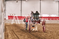 Petes Equine Photography of the draft horse hitch and mini horse competitions at the 2024 Ancaster Fair.