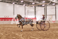 Petes Equine Photography of the draft horse hitch and mini horse competitions at the 2024 Ancaster Fair.