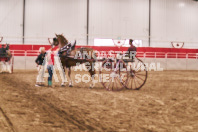 Petes Equine Photography of the draft horse hitch and mini horse competitions at the 2024 Ancaster Fair.