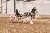 Petes Equine Photography of the draft horse hitch and mini horse competitions at the 2024 Ancaster Fair.