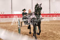 Petes Equine Photography of the draft horse hitch and mini horse competitions at the 2024 Ancaster Fair.