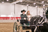 Petes Equine Photography of the draft horse hitch and mini horse competitions at the 2024 Ancaster Fair.