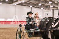 Petes Equine Photography of the draft horse hitch and mini horse competitions at the 2024 Ancaster Fair.