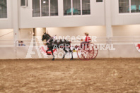 Petes Equine Photography of the draft horse hitch and mini horse competitions at the 2024 Ancaster Fair.