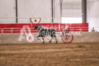 Petes Equine Photography of the draft horse hitch and mini horse competitions at the 2024 Ancaster Fair.