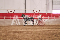 Petes Equine Photography of the draft horse hitch and mini horse competitions at the 2024 Ancaster Fair.