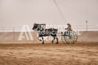 Petes Equine Photography of the draft horse hitch and mini horse competitions at the 2024 Ancaster Fair.