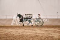 Petes Equine Photography of the draft horse hitch and mini horse competitions at the 2024 Ancaster Fair.