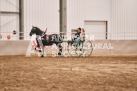 Petes Equine Photography of the draft horse hitch and mini horse competitions at the 2024 Ancaster Fair.