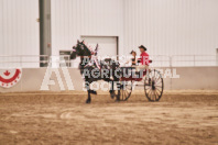 Petes Equine Photography of the draft horse hitch and mini horse competitions at the 2024 Ancaster Fair.