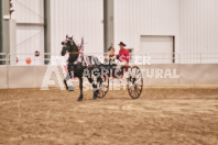 Petes Equine Photography of the draft horse hitch and mini horse competitions at the 2024 Ancaster Fair.