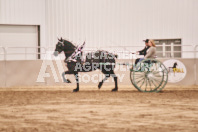 Petes Equine Photography of the draft horse hitch and mini horse competitions at the 2024 Ancaster Fair.