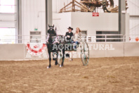 Petes Equine Photography of the draft horse hitch and mini horse competitions at the 2024 Ancaster Fair.