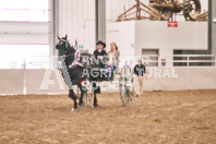 Petes Equine Photography of the draft horse hitch and mini horse competitions at the 2024 Ancaster Fair.