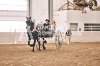 Petes Equine Photography of the draft horse hitch and mini horse competitions at the 2024 Ancaster Fair.