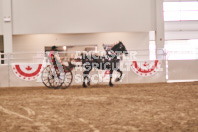 Petes Equine Photography of the draft horse hitch and mini horse competitions at the 2024 Ancaster Fair.