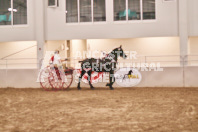 Petes Equine Photography of the draft horse hitch and mini horse competitions at the 2024 Ancaster Fair.