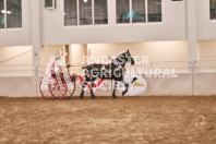 Petes Equine Photography of the draft horse hitch and mini horse competitions at the 2024 Ancaster Fair.