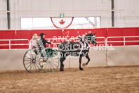 Petes Equine Photography of the draft horse hitch and mini horse competitions at the 2024 Ancaster Fair.