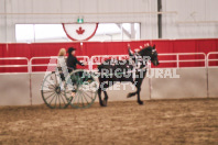 Petes Equine Photography of the draft horse hitch and mini horse competitions at the 2024 Ancaster Fair.