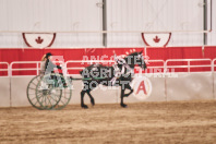 Petes Equine Photography of the draft horse hitch and mini horse competitions at the 2024 Ancaster Fair.