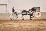 Petes Equine Photography of the draft horse hitch and mini horse competitions at the 2024 Ancaster Fair.