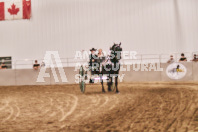 Petes Equine Photography of the draft horse hitch and mini horse competitions at the 2024 Ancaster Fair.