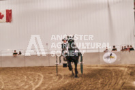 Petes Equine Photography of the draft horse hitch and mini horse competitions at the 2024 Ancaster Fair.