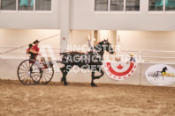 Petes Equine Photography of the draft horse hitch and mini horse competitions at the 2024 Ancaster Fair.