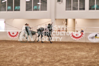 Petes Equine Photography of the draft horse hitch and mini horse competitions at the 2024 Ancaster Fair.