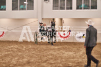 Petes Equine Photography of the draft horse hitch and mini horse competitions at the 2024 Ancaster Fair.