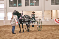 Petes Equine Photography of the draft horse hitch and mini horse competitions at the 2024 Ancaster Fair.